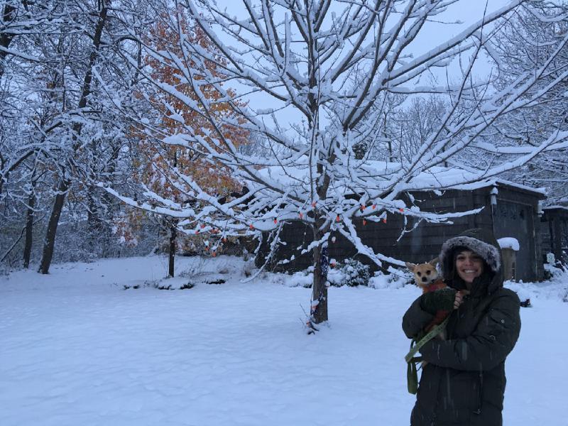 gallery/firstSnow_2.jpg