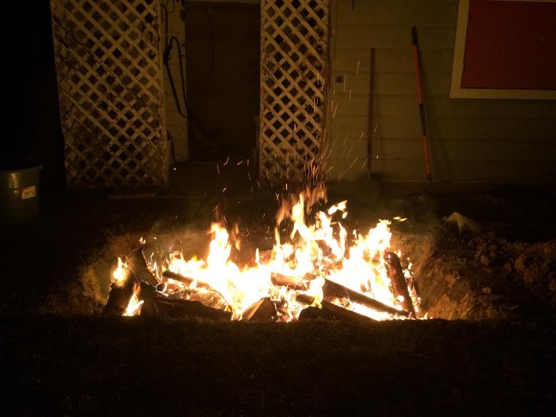 gallery/pigRoast_08.jpg