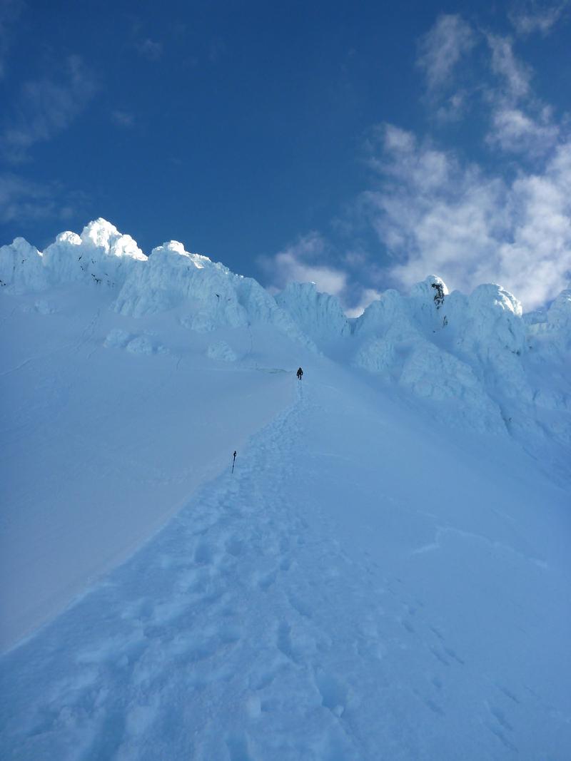 gallery/hoodJanuary_26.jpg