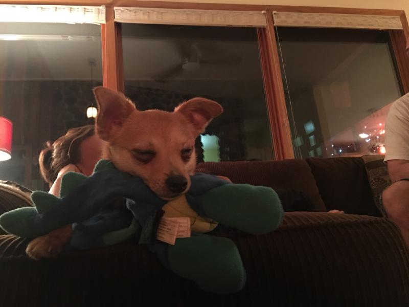 gallery/thanksgiving_13.jpg