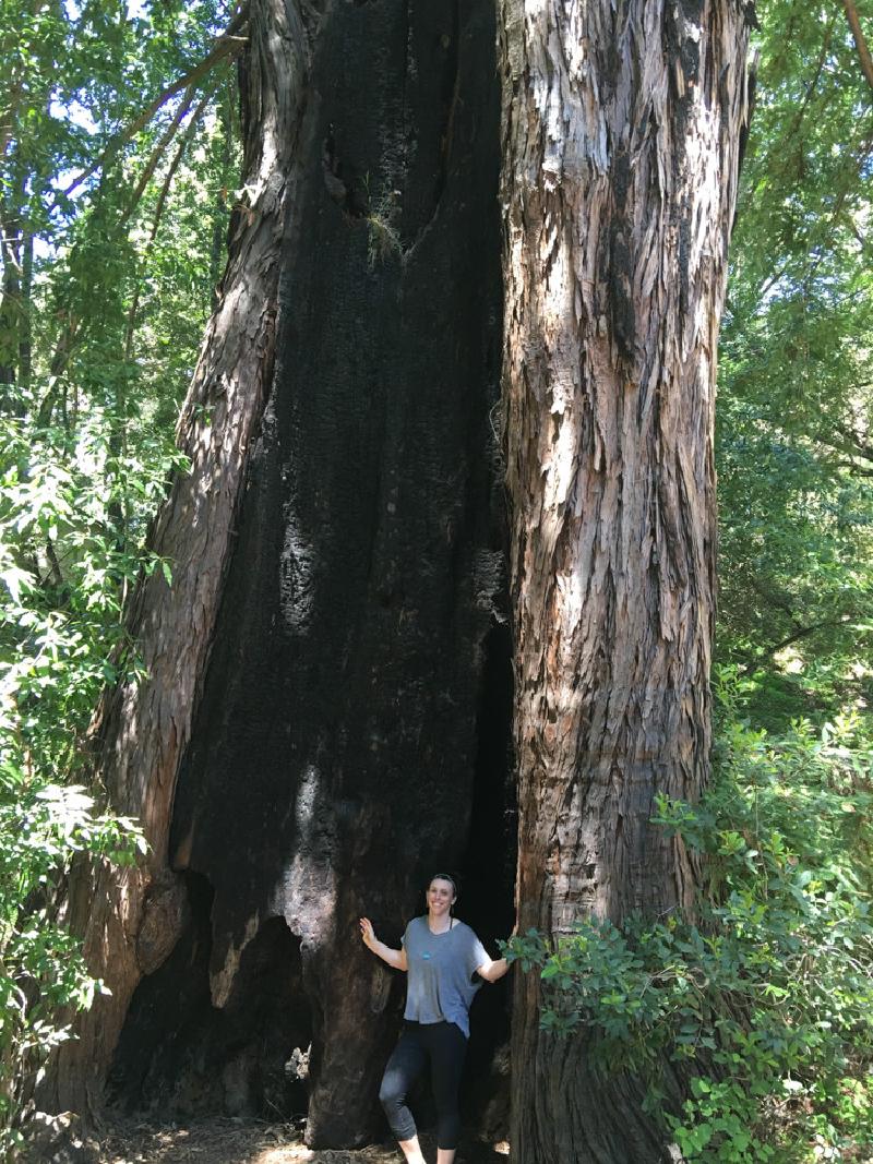 gallery/california_16.jpg