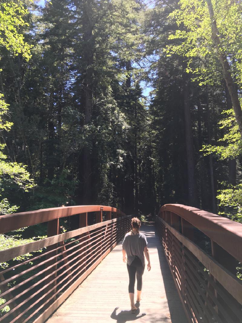 gallery/california_18.jpg