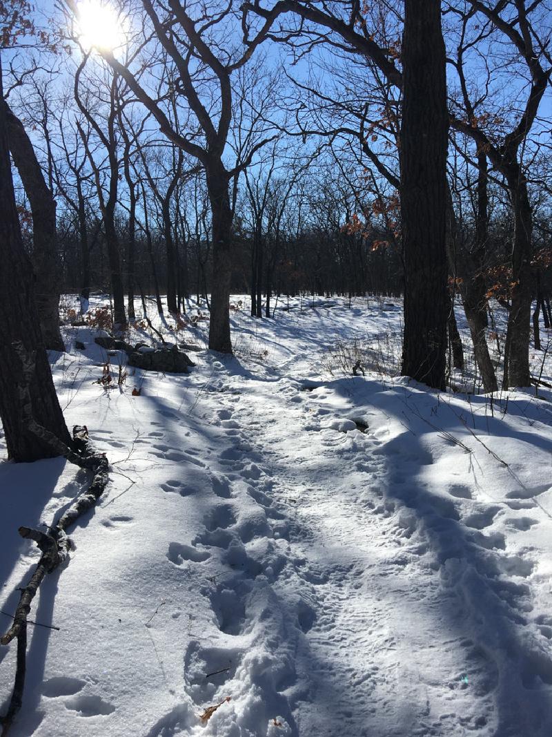 gallery/devilsLake_4.jpg