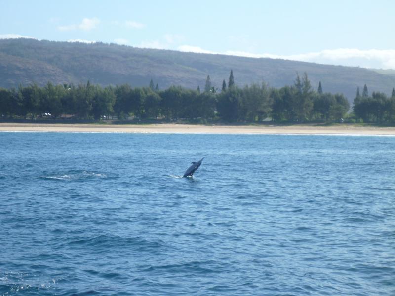 gallery/hawaiiBoat_06.jpg
