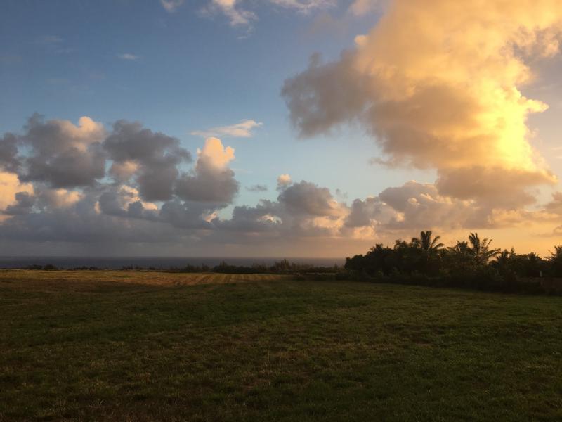 gallery/hawaii_02.jpg