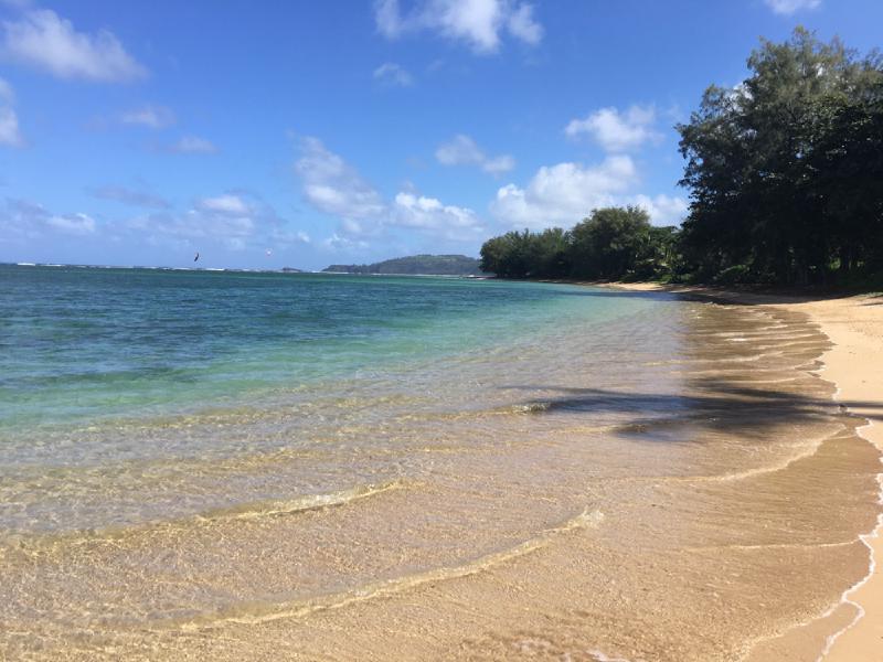 gallery/hawaii_05.jpg
