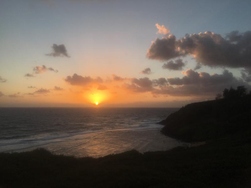 gallery/hawaii_06.jpg