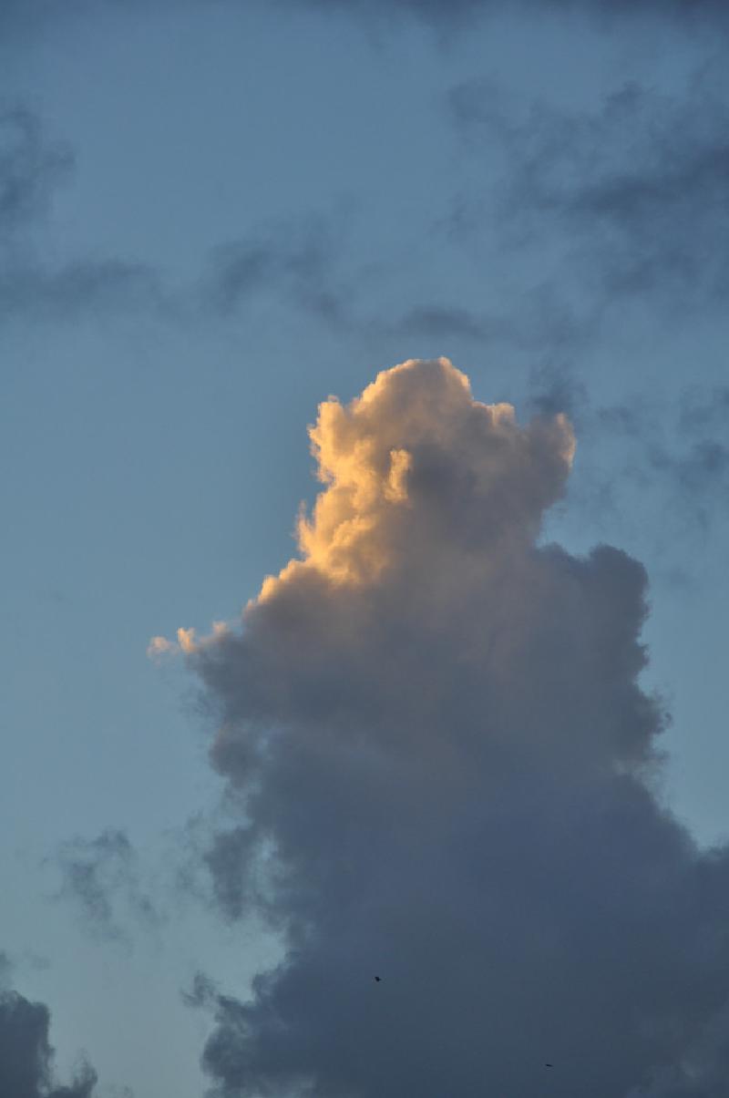 gallery/hawaii_09.jpg