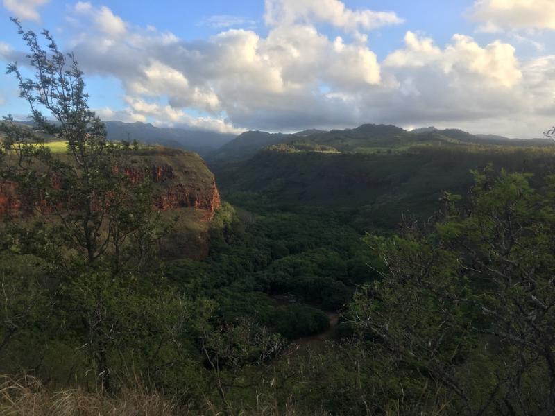 gallery/hawaii_11.jpg