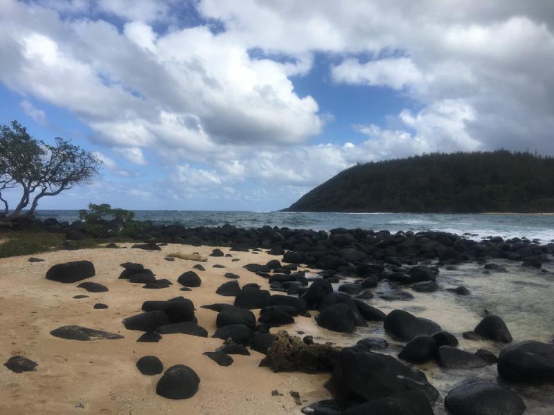 gallery/hawaii_13.jpg