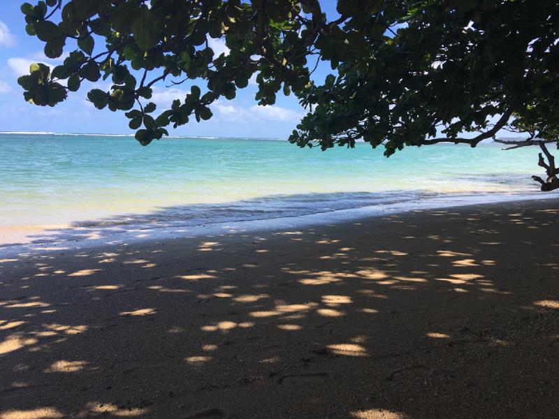 gallery/hawaii_17.jpg