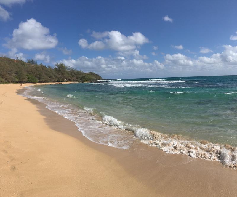 gallery/hawaii_19.jpg