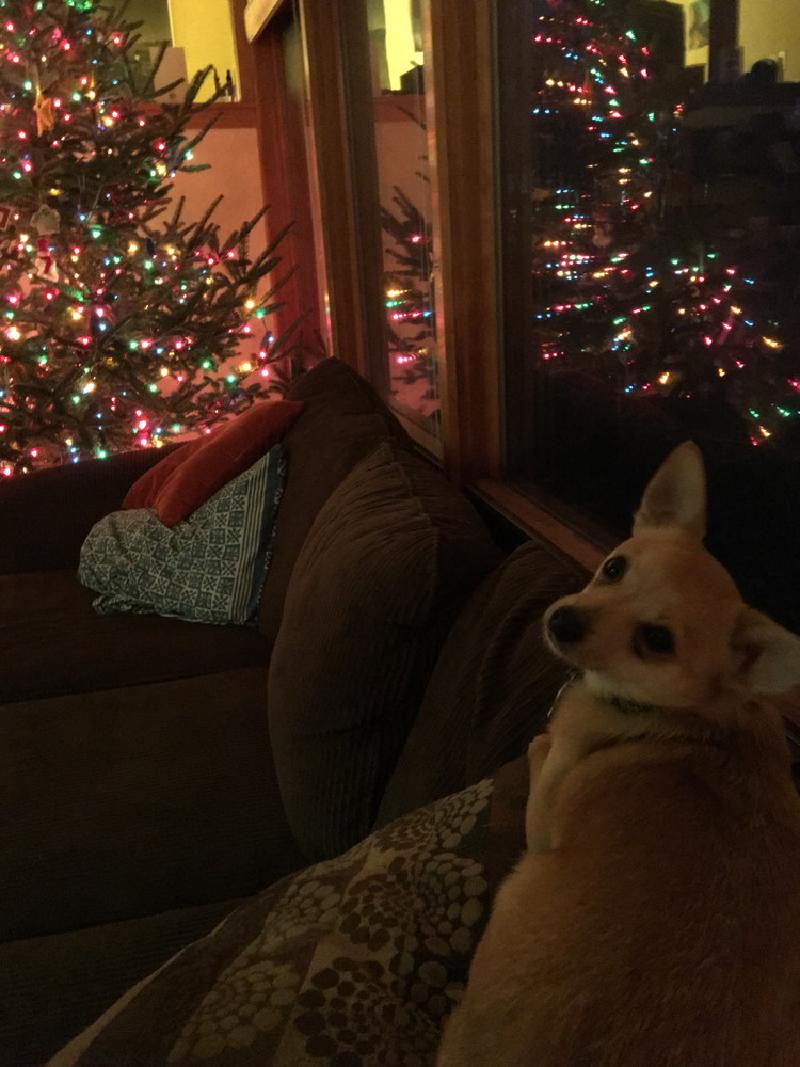 gallery/holidays_05.jpg