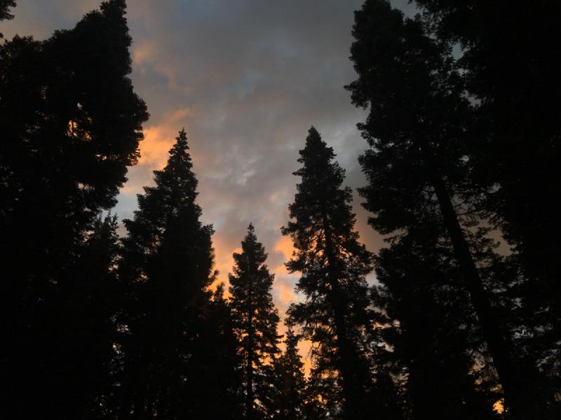 gallery/monkeyFaceTrip_031.jpg