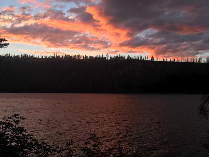 gallery/monkeyFaceTrip_034.jpg