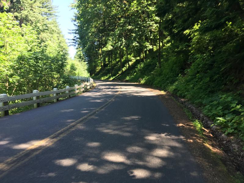 gallery/bike_tour_mt_adams_016.jpg