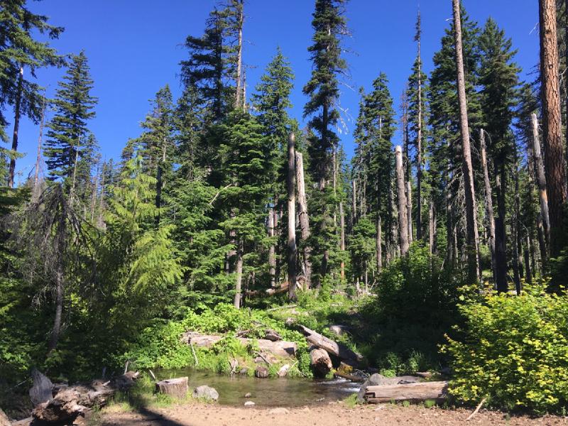 gallery/bike_tour_mt_adams_064.jpg