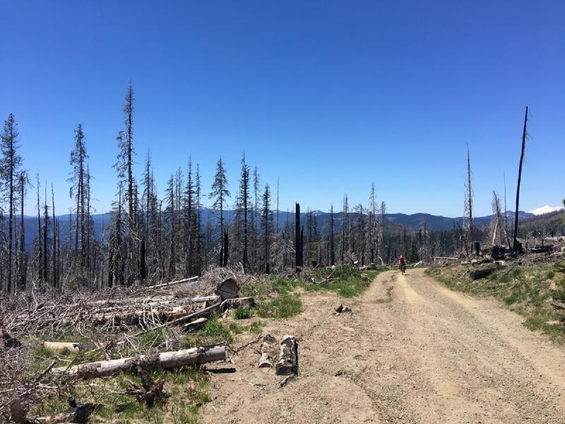 gallery/bike_tour_mt_adams_074.jpg