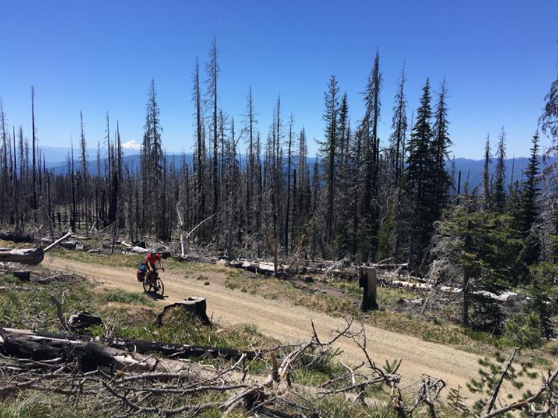 gallery/bike_tour_mt_adams_076.jpg