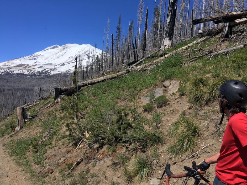 gallery/bike_tour_mt_adams_146.jpg