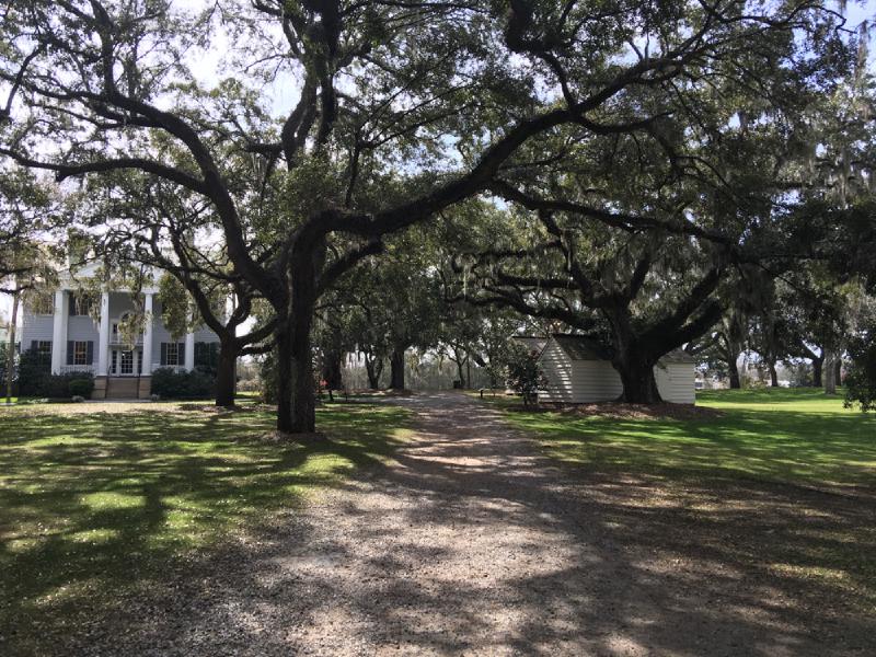 gallery/charleston_12.jpg