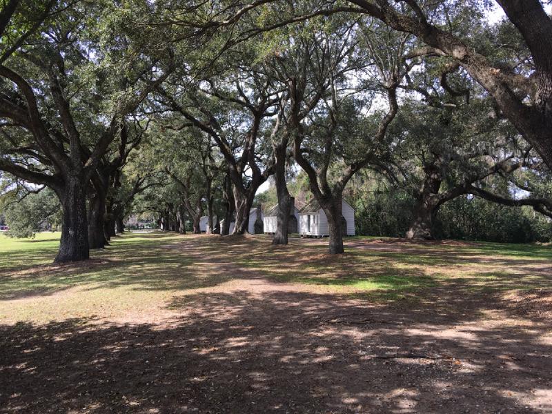 gallery/charleston_20.jpg