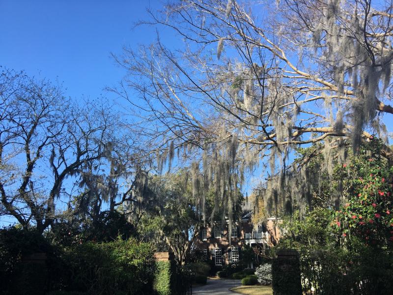 gallery/charleston_27.jpg