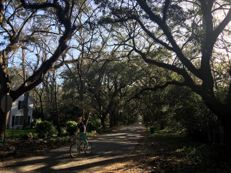 gallery/charleston_30.jpg