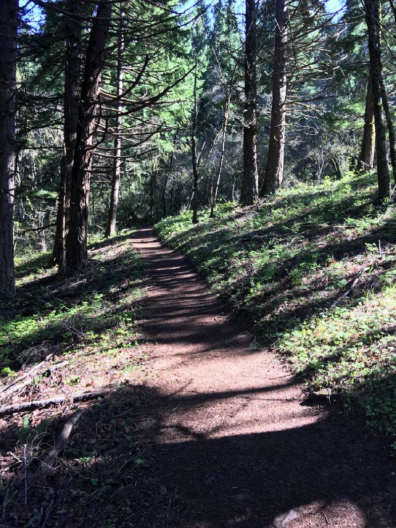 gallery/portland_spring_13.jpg