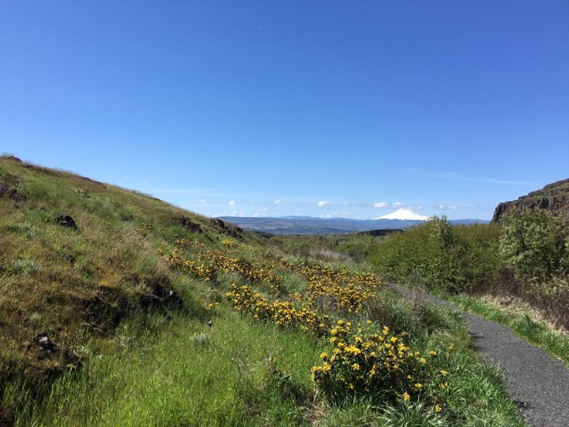 gallery/portland_spring_18.jpg