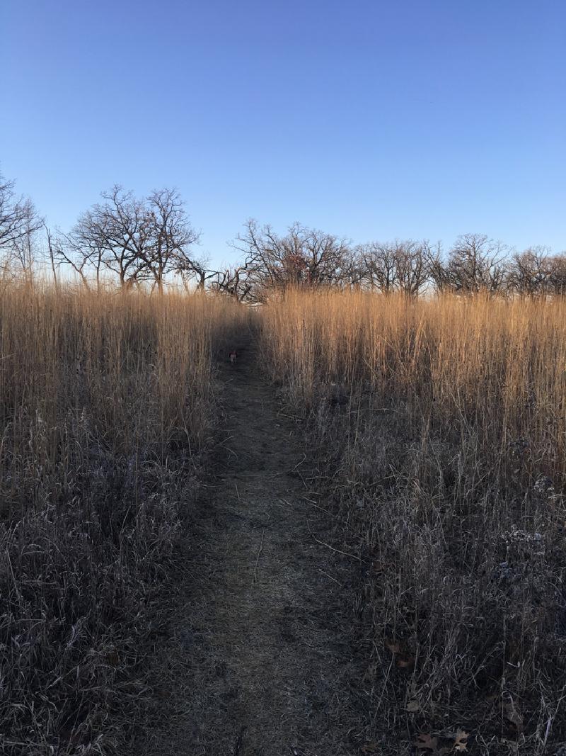 gallery/wisconsin_hiking_01.jpg