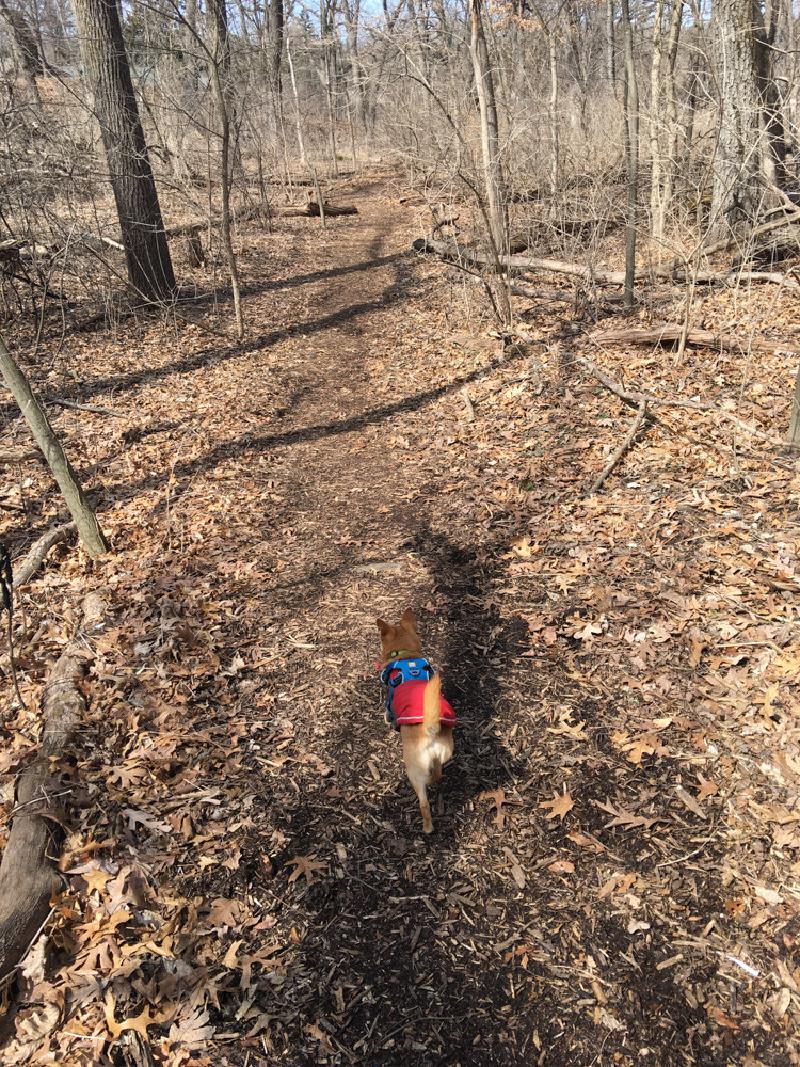 gallery/wisconsin_hiking_02.jpg