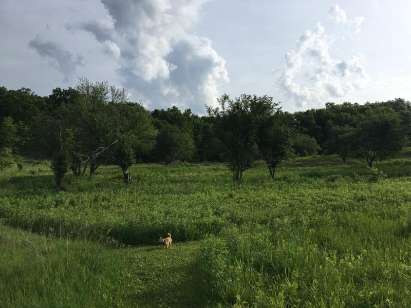 gallery/wisconsin_hiking_09.jpg