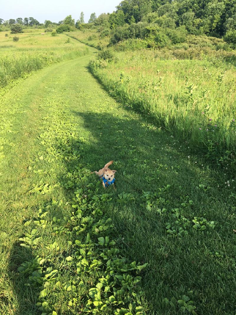 gallery/wisconsin_hiking_10.jpg