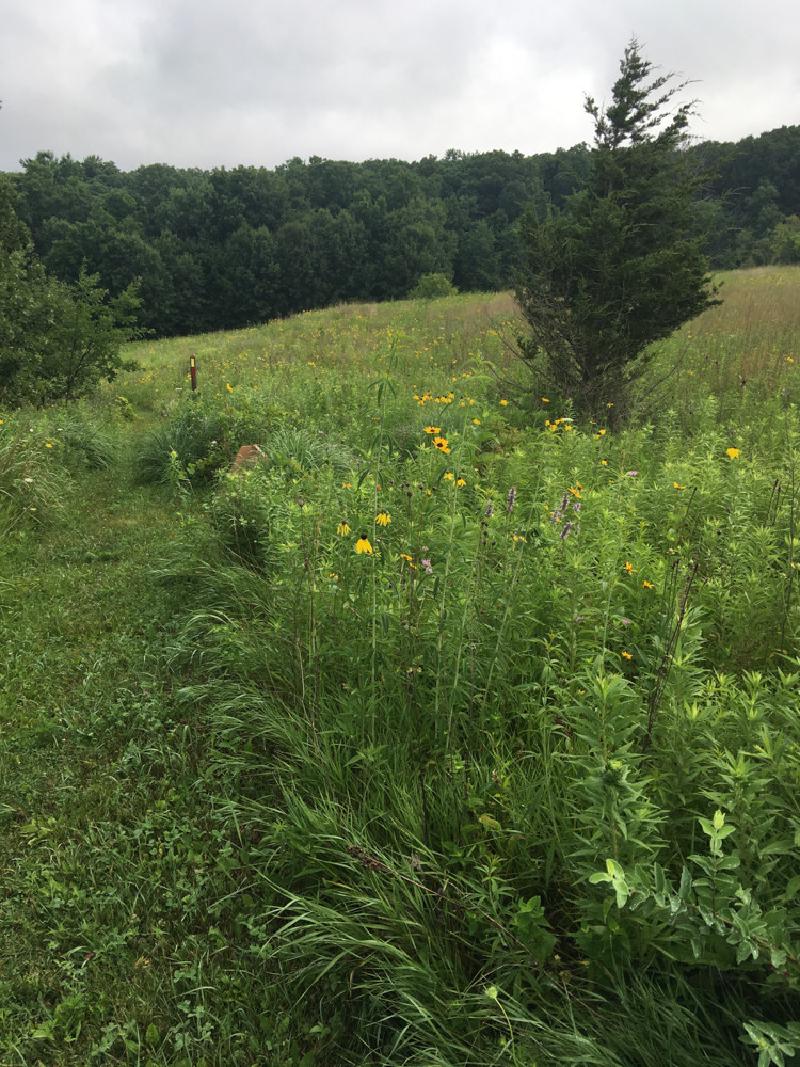 gallery/wisconsin_hiking_25.jpg