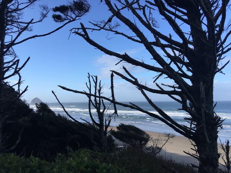 gallery/keevin_birthday_beach_16.jpg
