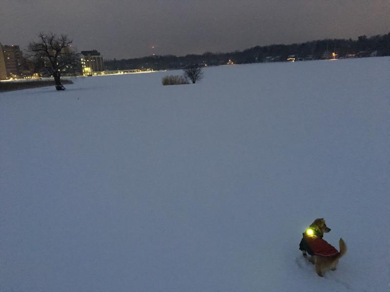 gallery/last_wisconsin_winter_27.jpg