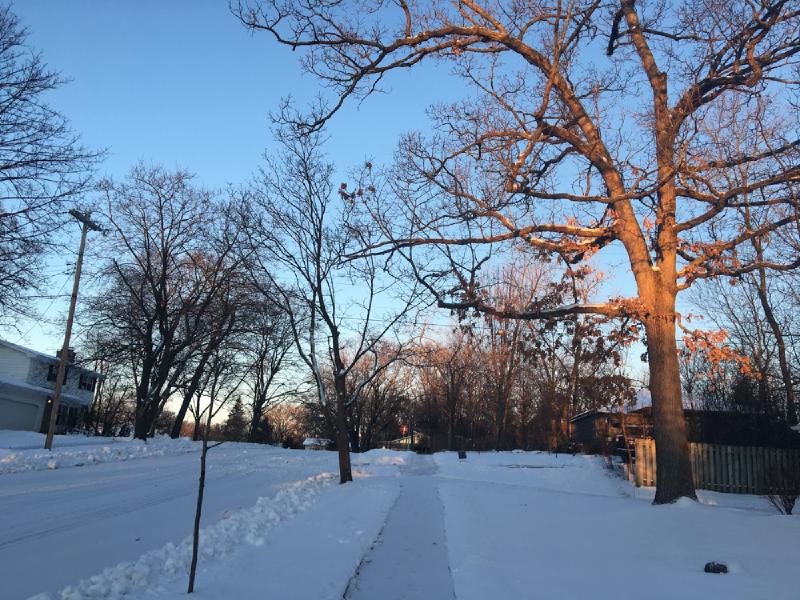 gallery/last_wisconsin_winter_34.jpg