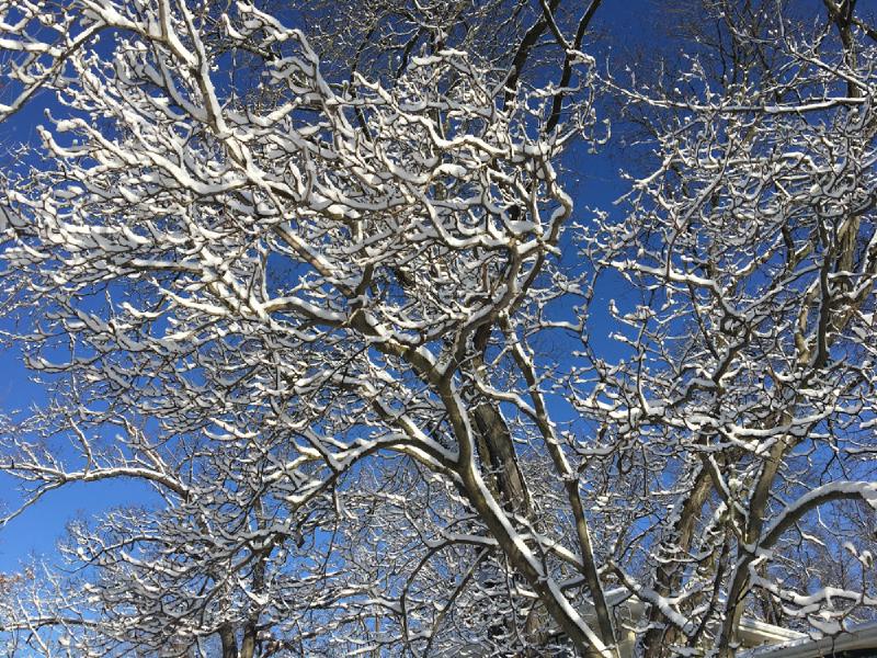 gallery/last_wisconsin_winter_49.jpg