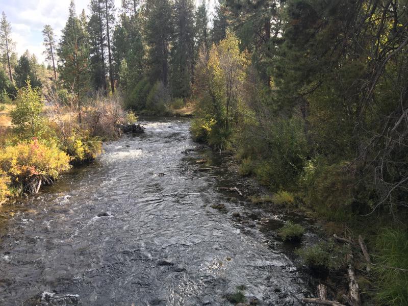 gallery/bend_weekend_46.jpg