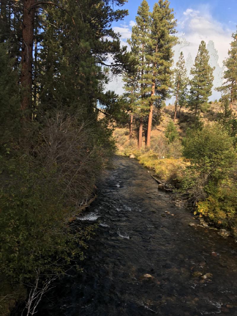 gallery/bend_weekend_47.jpg