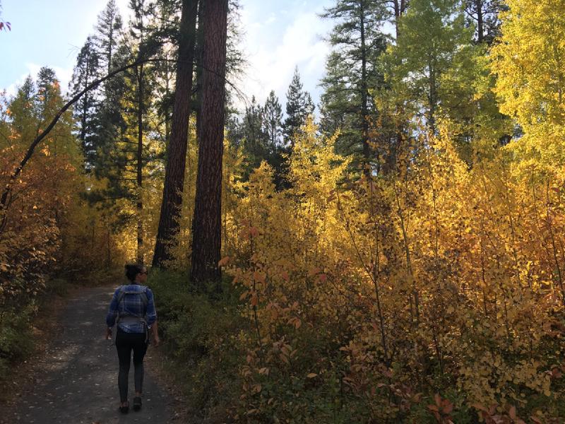 gallery/bend_weekend_57.jpg