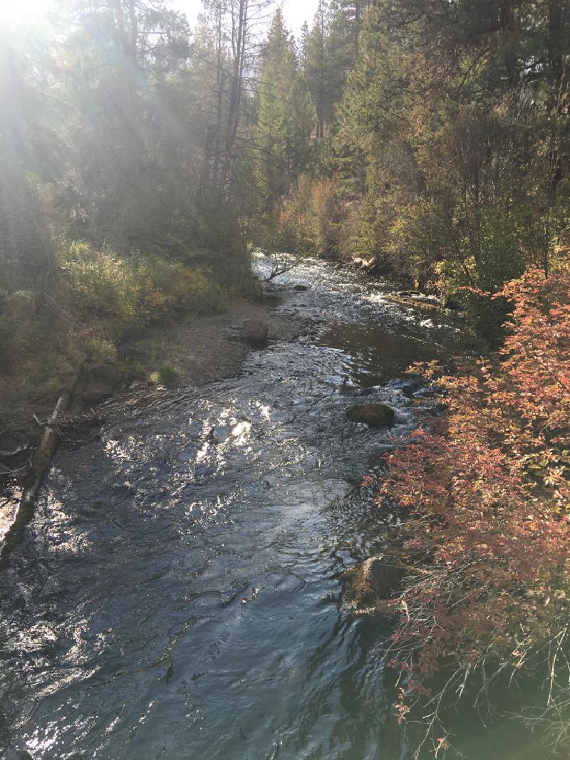 gallery/bend_weekend_58.jpg