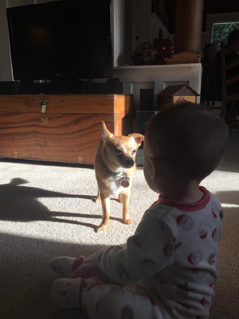 gallery/oscar_first_turkeyday_26.jpg