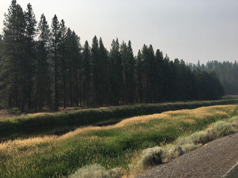 gallery/drive_wisconsin_oregon_79.jpg