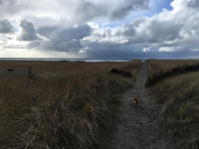 gallery/beach_february_04.jpg