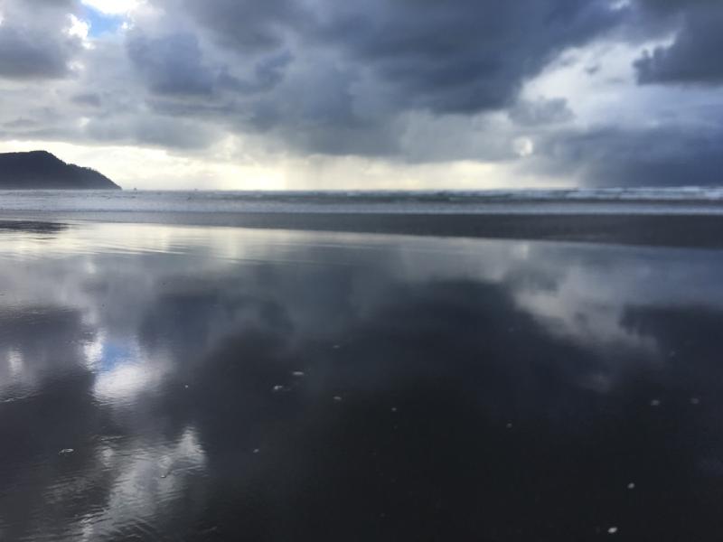 gallery/beach_february_11.jpg