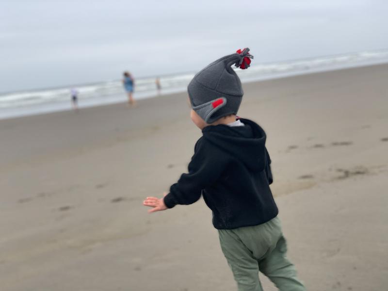 gallery/beach_sept_007.jpg