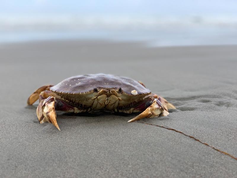 gallery/beach_sept_023.jpg