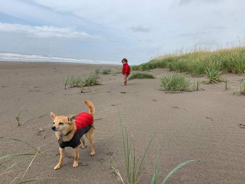 gallery/beach_sept_034.jpg